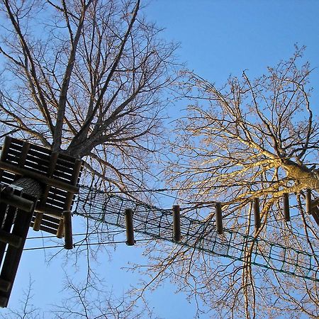 Kempings Ozolkalns Cesis Bagian luar foto