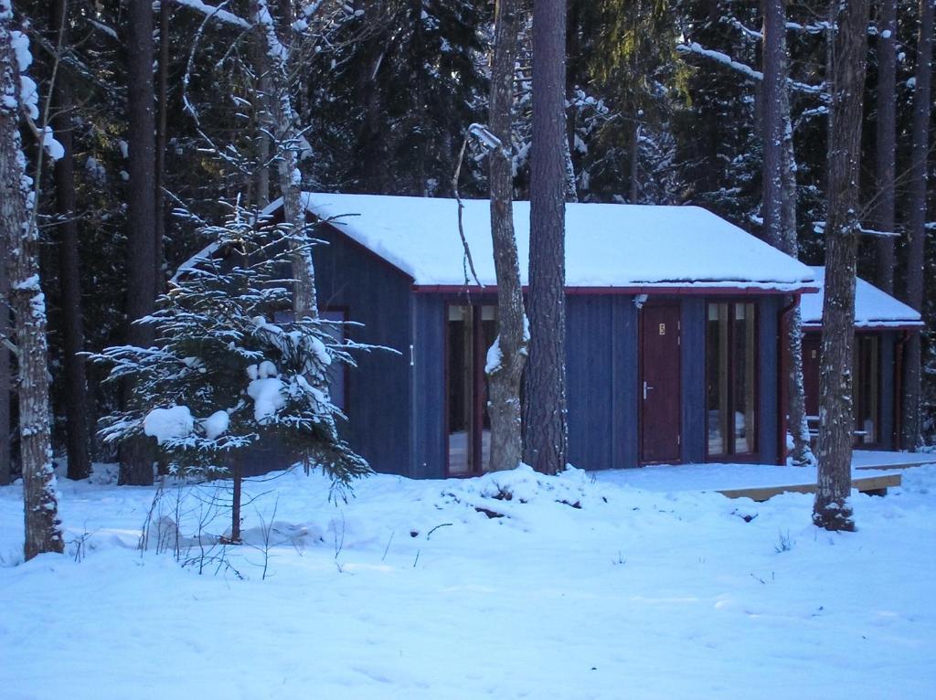 Kempings Ozolkalns Cesis Ruang foto