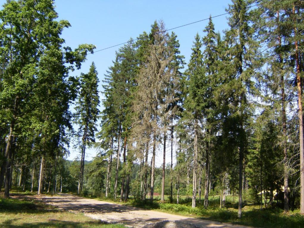 Kempings Ozolkalns Cesis Bagian luar foto