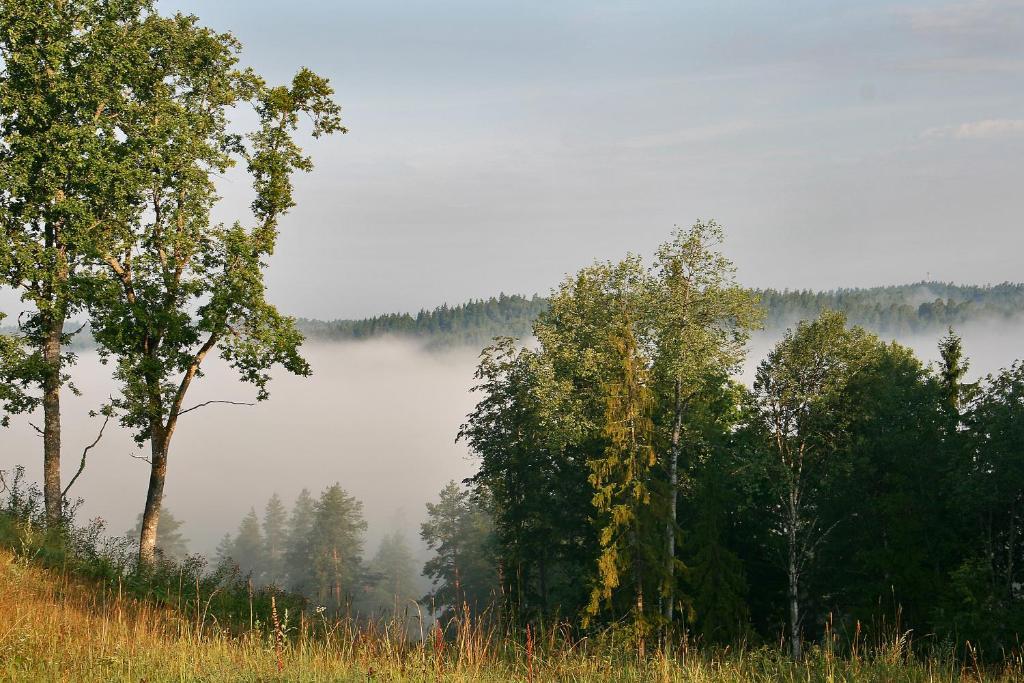 Kempings Ozolkalns Cesis Bagian luar foto