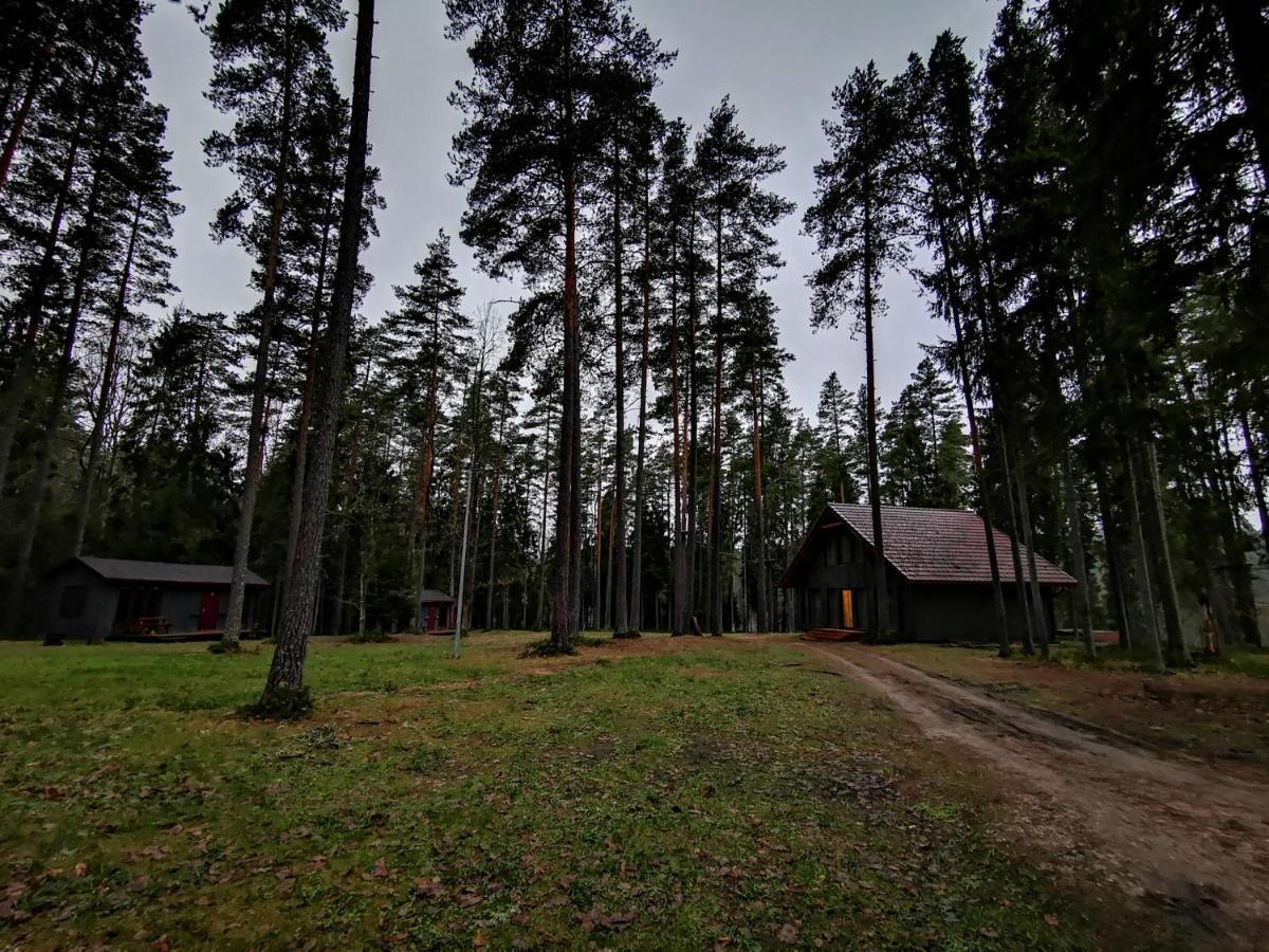 Kempings Ozolkalns Cesis Bagian luar foto